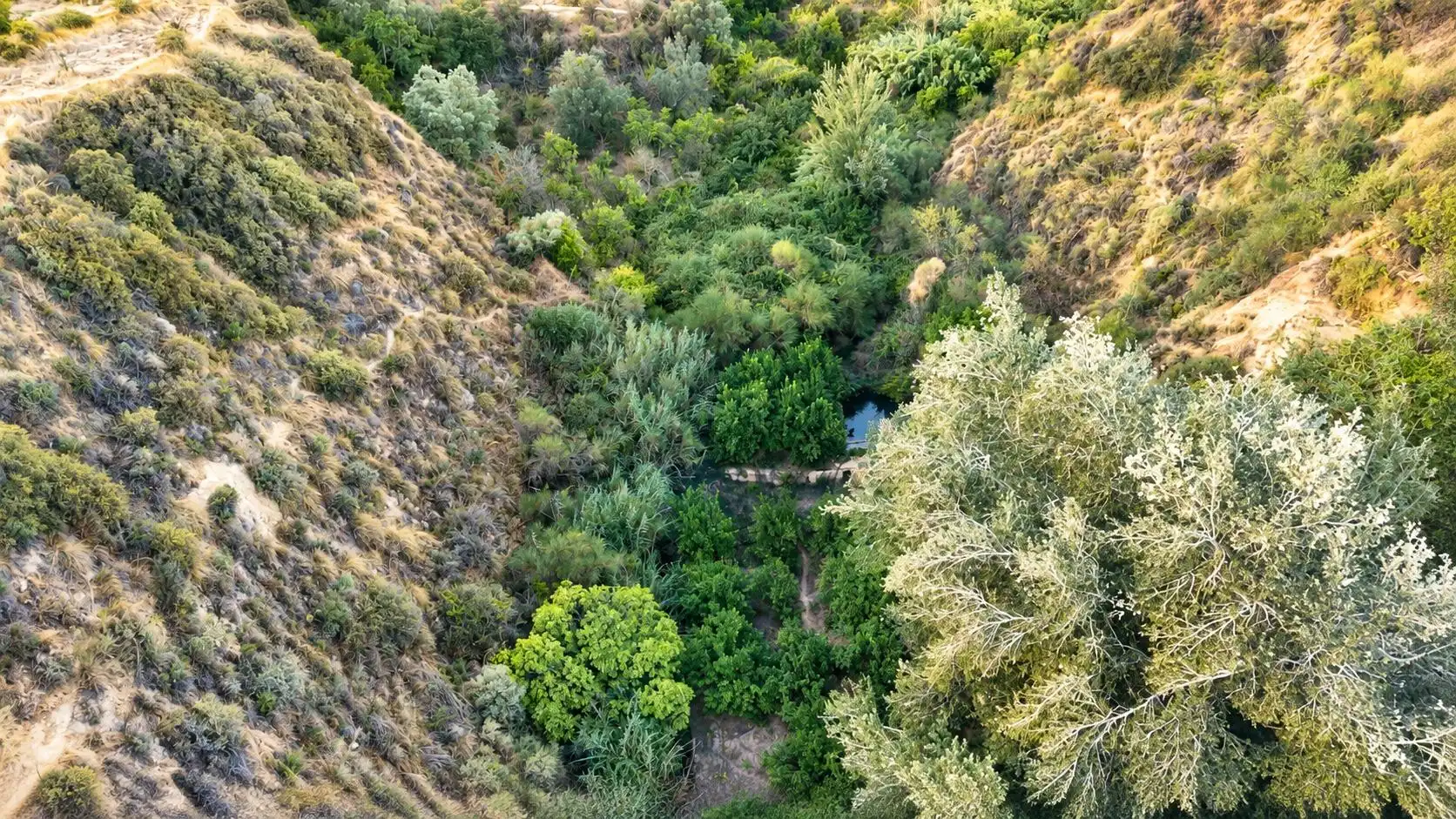 Terreno rustico in vendita a Lecrín, imagen 8