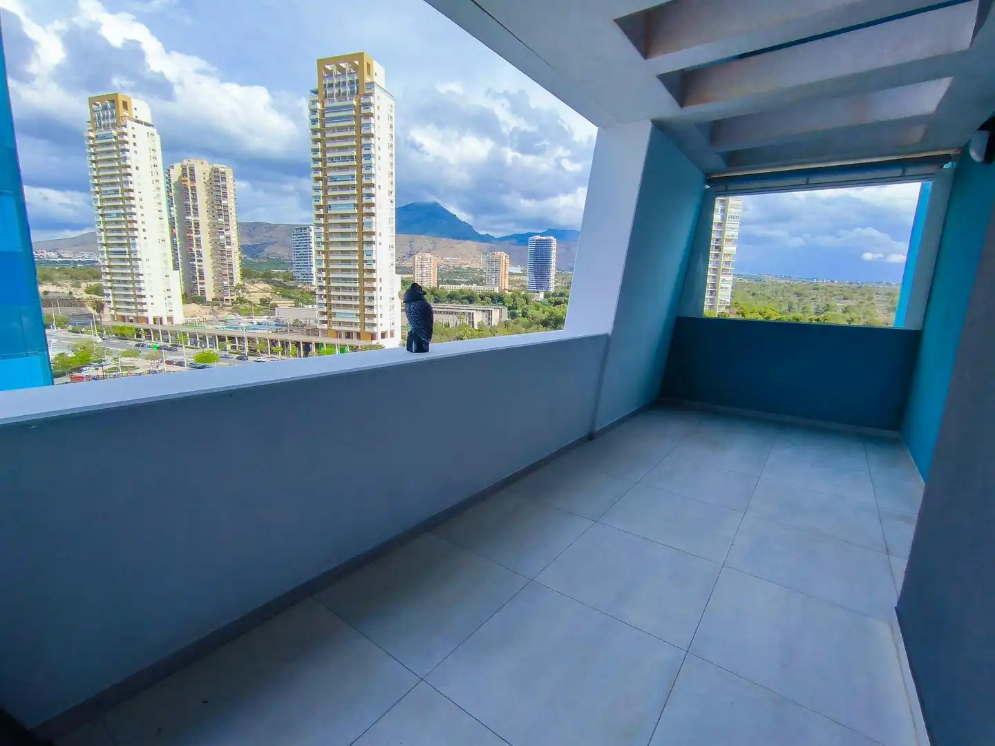 Wohnung mit Terrasse zum Verkauf in REPUBLICA ARGENTINA 6, imagen 31