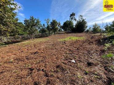 Terreno residenziale in vendita a Campus Sur - Santa Marta