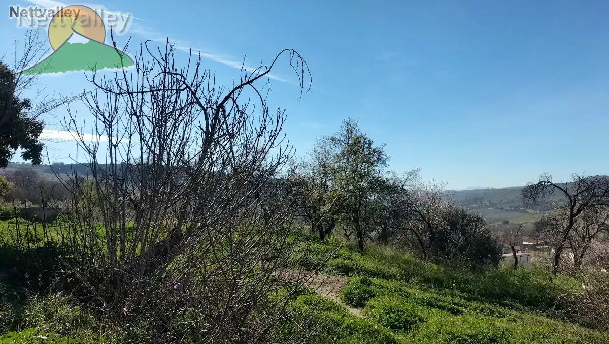 Grundstücke und Bauplätze zum Verkauf in Moclín, imagen 6