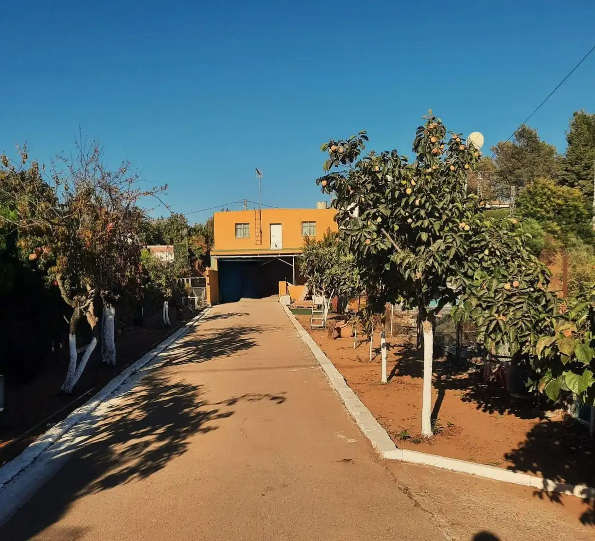 Vista exterior de Finca rústica en venta en Carmona