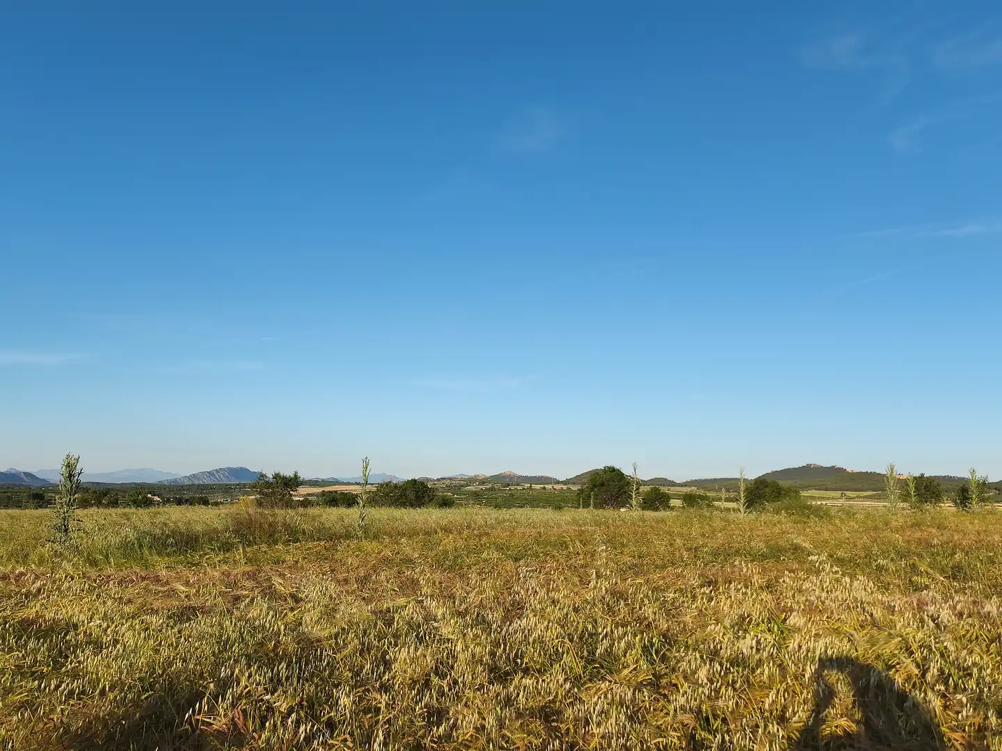 Terreny rústic en venda a Moratalla, imagen 18