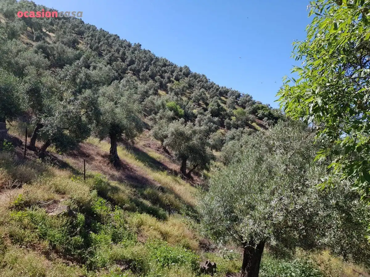 Finca rústica en venta en Villanueva de Córdoba con Jardín privado, Trastero y Amueblado