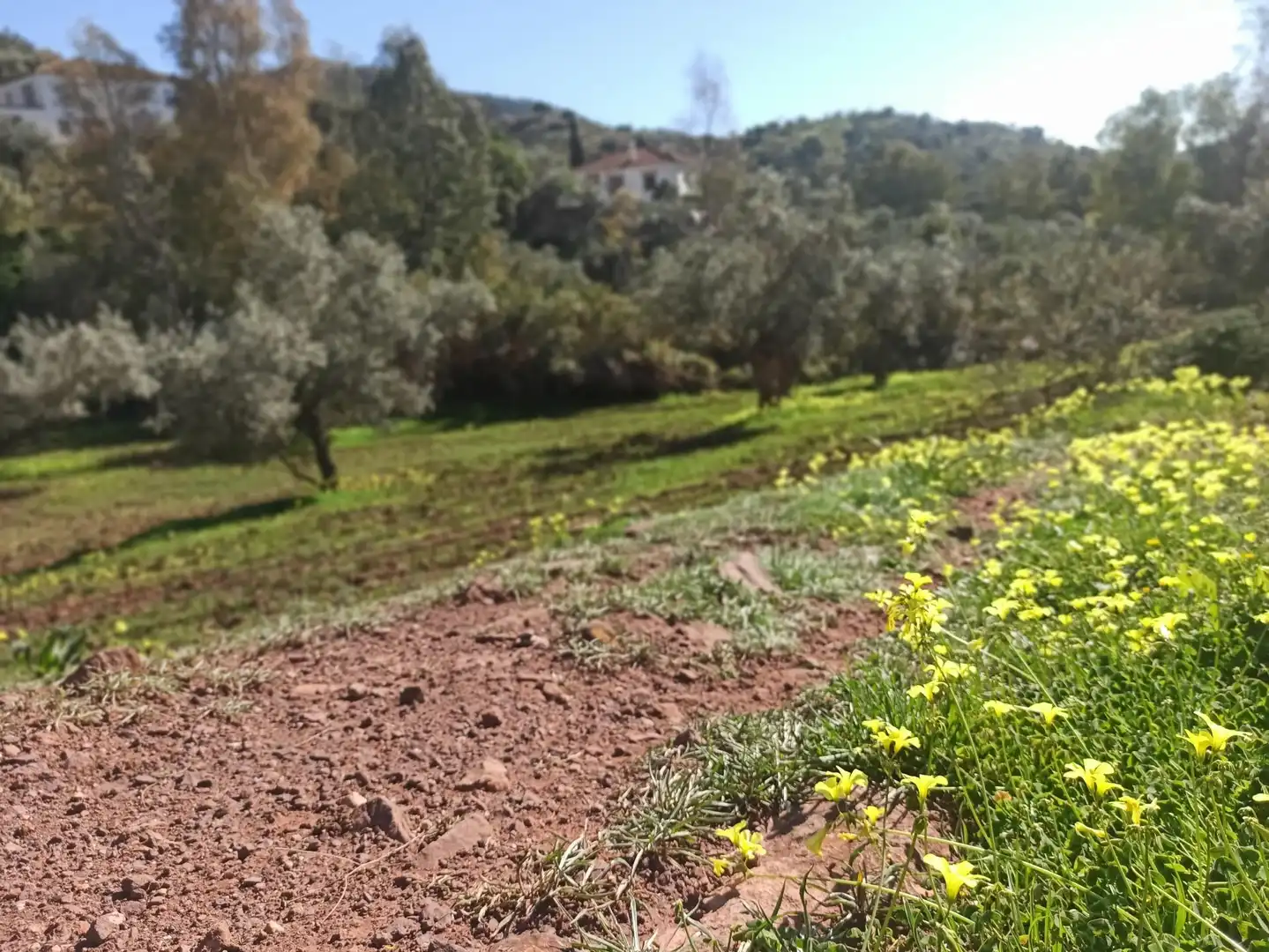 Houses for sale in Almogía  with Air Conditioner and Furnished