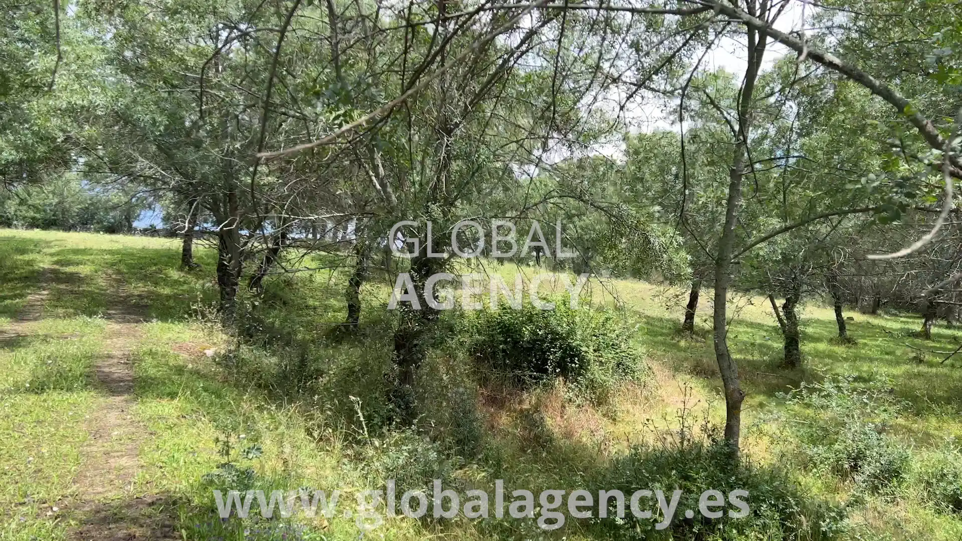 Rural land for sale in Soto del Real, imagen 8