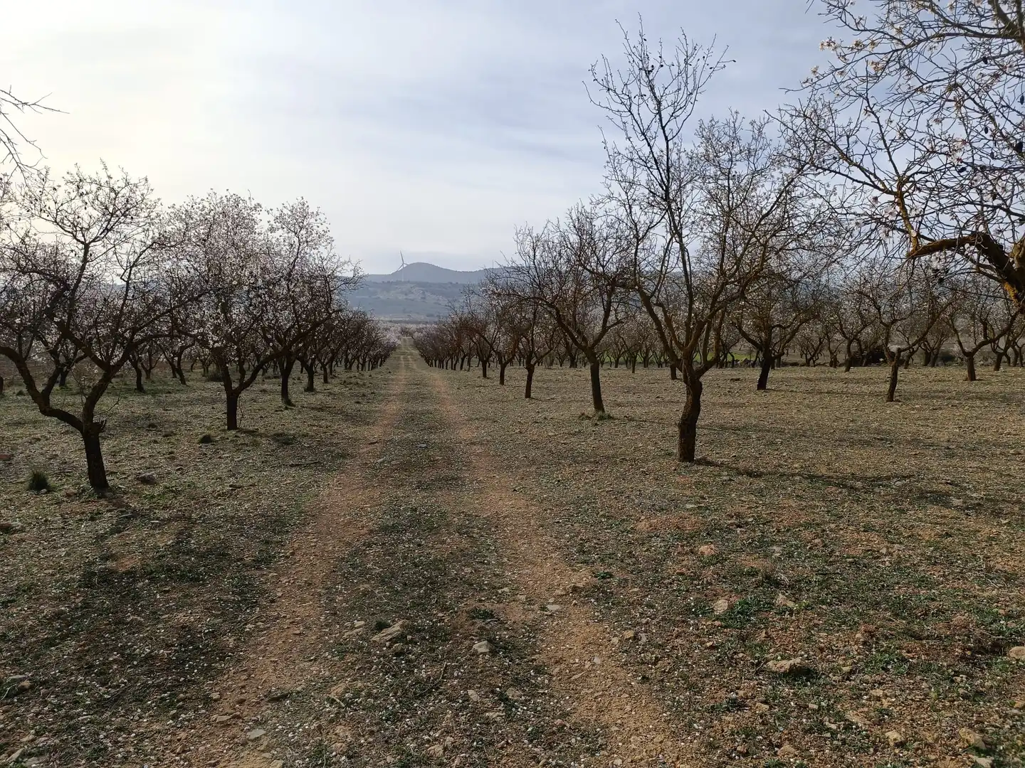 Rustikales Grundstück zum Verkauf in Avenida de Andalucía, imagen 2