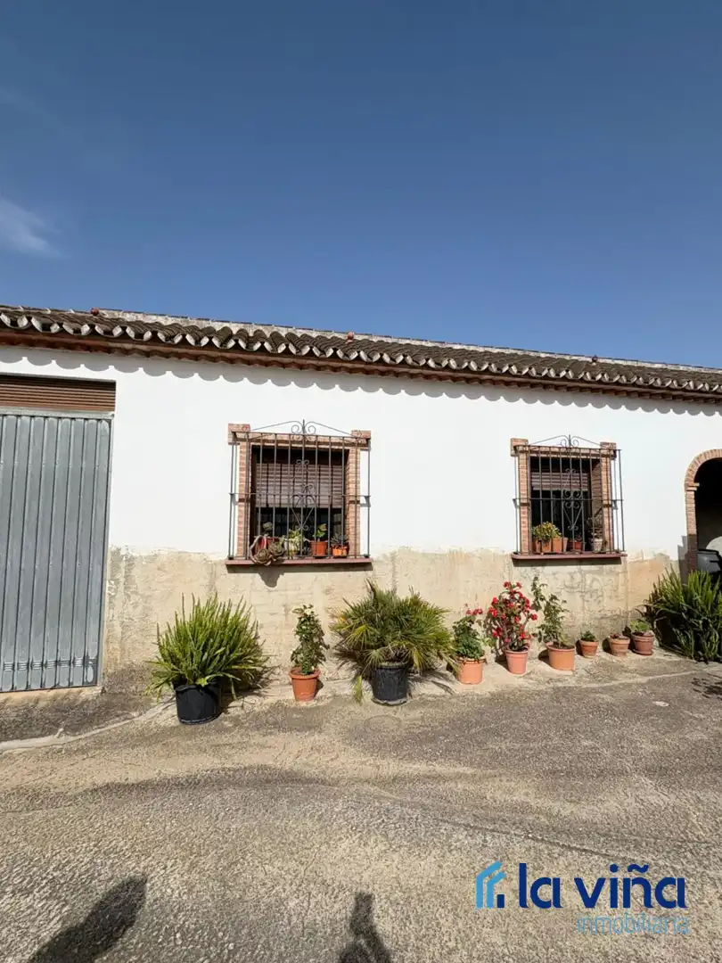 Terreny rústic en venda a Priego de Córdoba, imagen 17