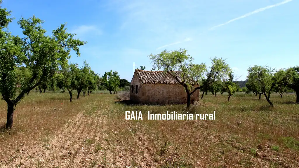Country homes for sale in Fabara