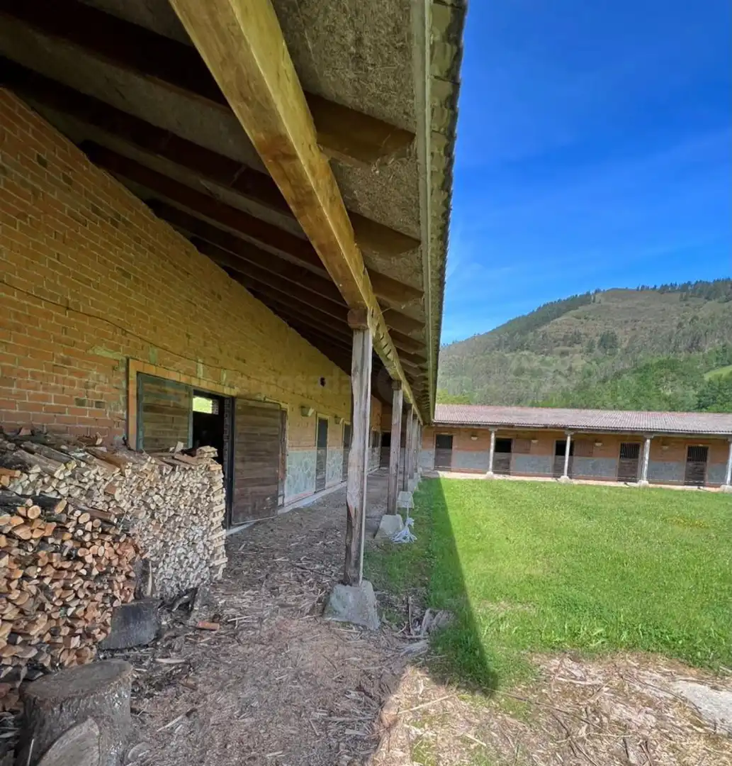 Vista exterior de Casa o chalet en venta en Piloña con Calefacción y Jardín privado