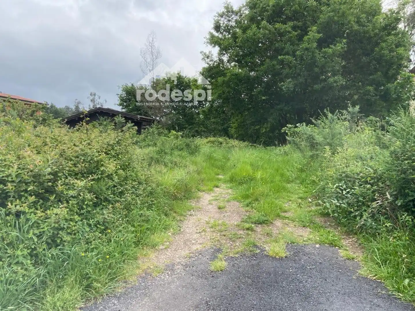 Rural land for sale in Covelo, imagen 11