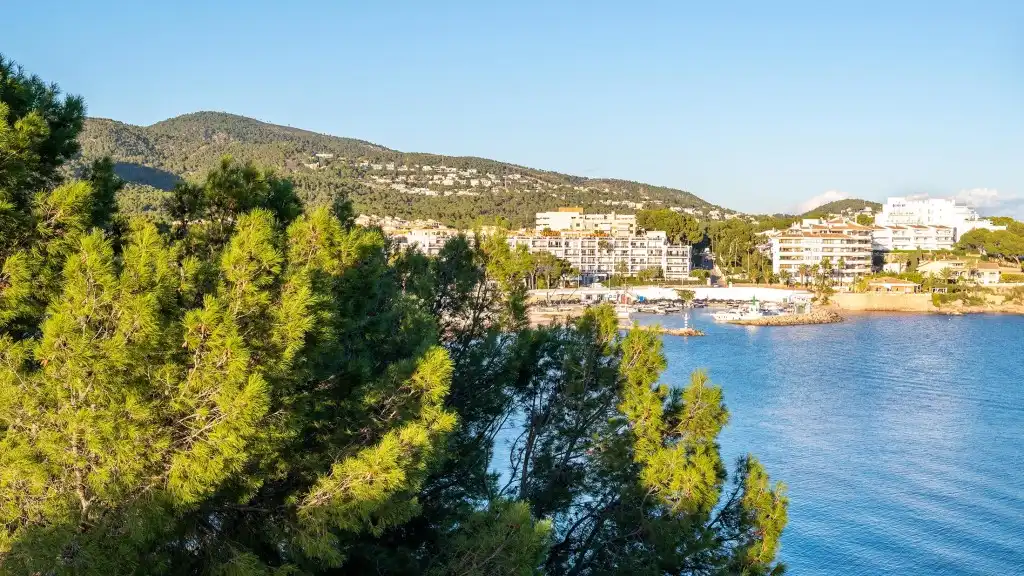 Exterior view of Apartments for sale in Calvià  with Terrace and Storage room