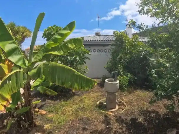 Detached house with garden for sale in Calle Camelia 162, imagen 2