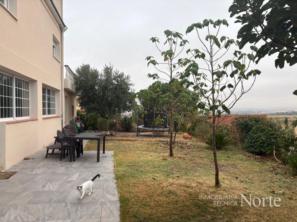 Jardí de Apartament de lloguer en Algete