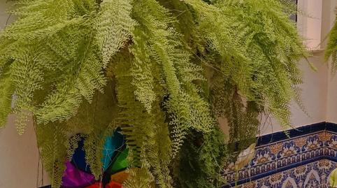 Foto 4 de Apartamento de alquiler en Arenal - La Pólvora, Sevilla