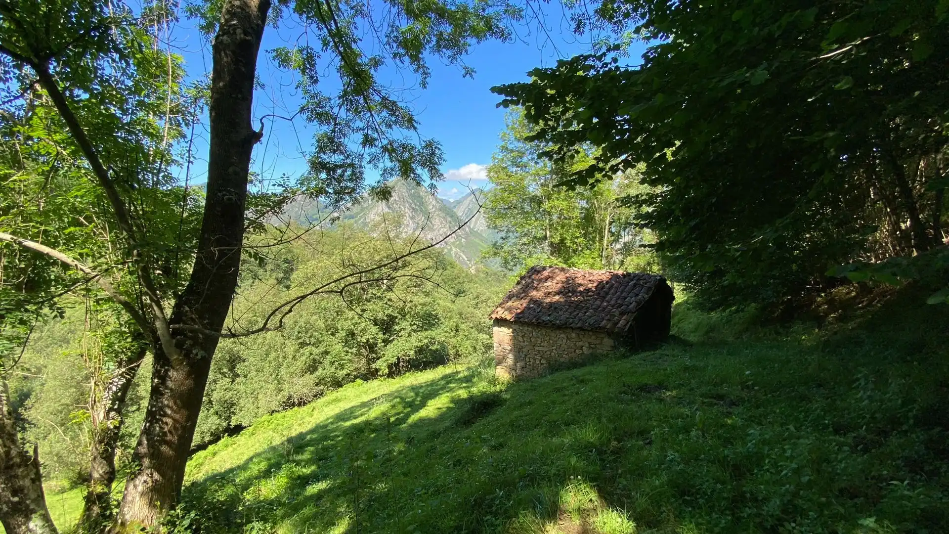 Terreno en venta en PRIESCA, Ponga