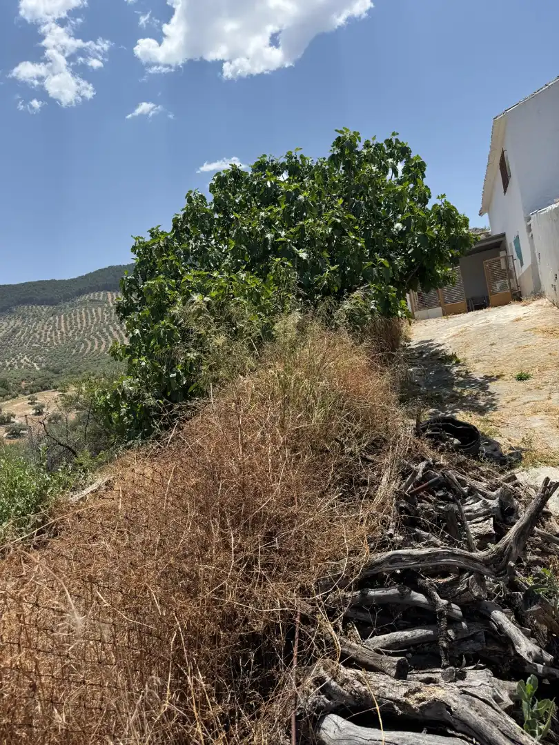 Casa en venda a Alcaudete, imagen 4