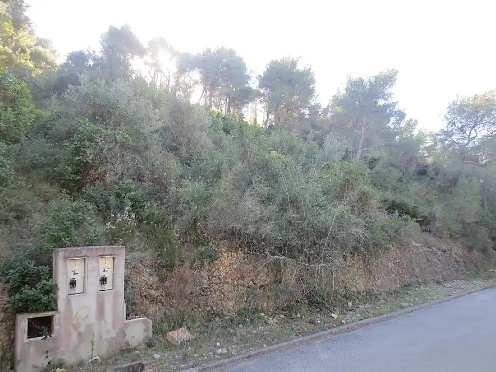 Rural land for sale in CL Pinos Nº 22, imagen 4