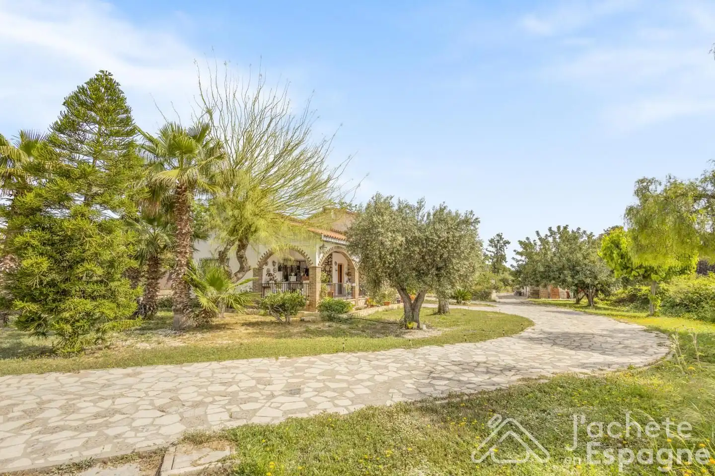 Exterior view of Houses for sale in San Vicente del Raspeig / Sant Vicent del Raspeig  with Private garden, Terrace and Swimming Pool