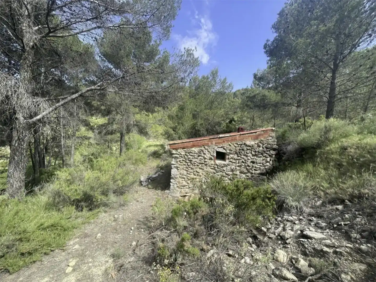 Country homes for sale in Confrides