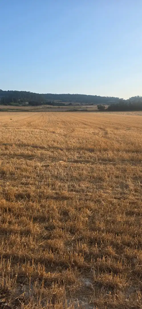 Terreno rustico in vendita a Montuïri, imagen 2