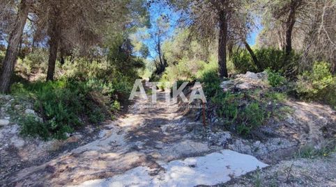 FINCA RUSTICA PARA REHABILITAR
