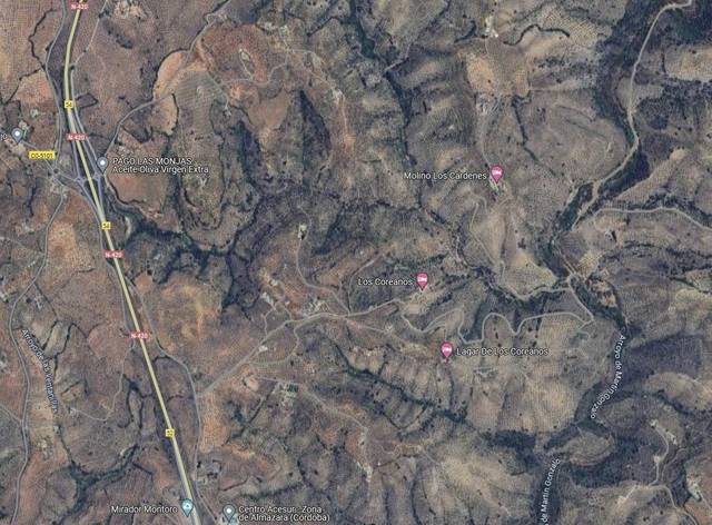 Terreno en Venta en  Polígono 26 Paraje 396 RISQUILLO EL en Montoro