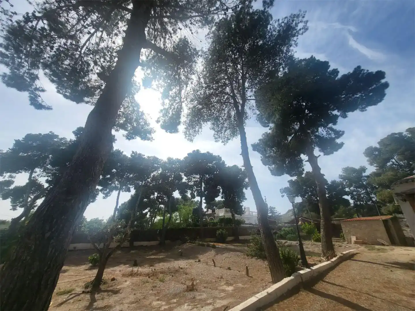 Finca rústica en venda en Águilas