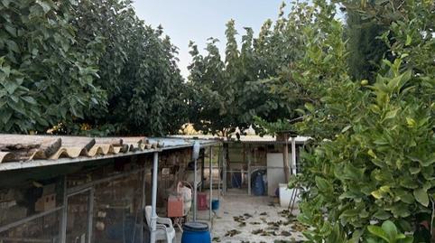 Photo 5 of House or chalet for sale in Vereda Liorna, Desamparados - Hurchillo - Torremendo, Orihuela