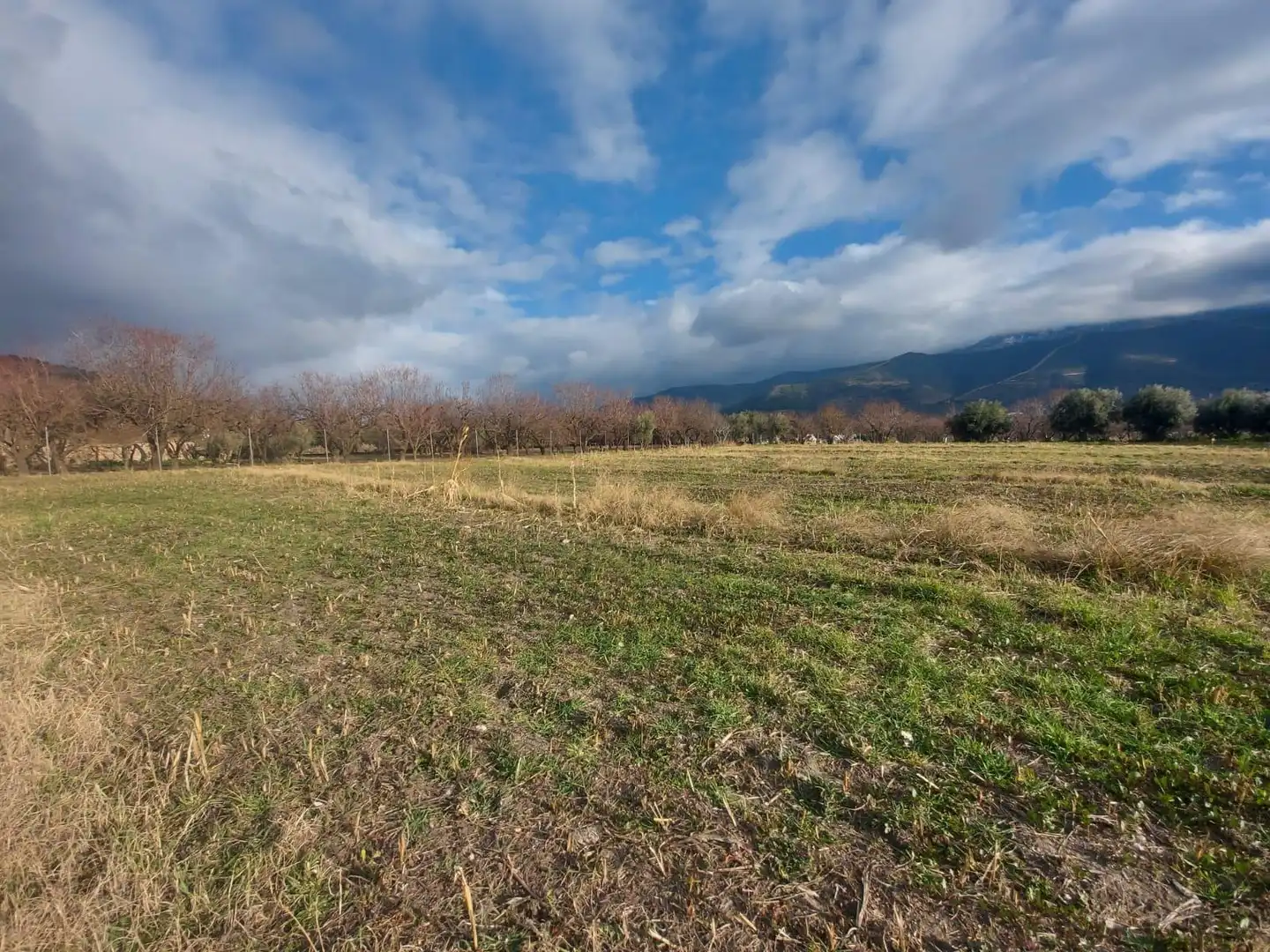 Rural land for sale in Laujar de Andarax, imagen 7
