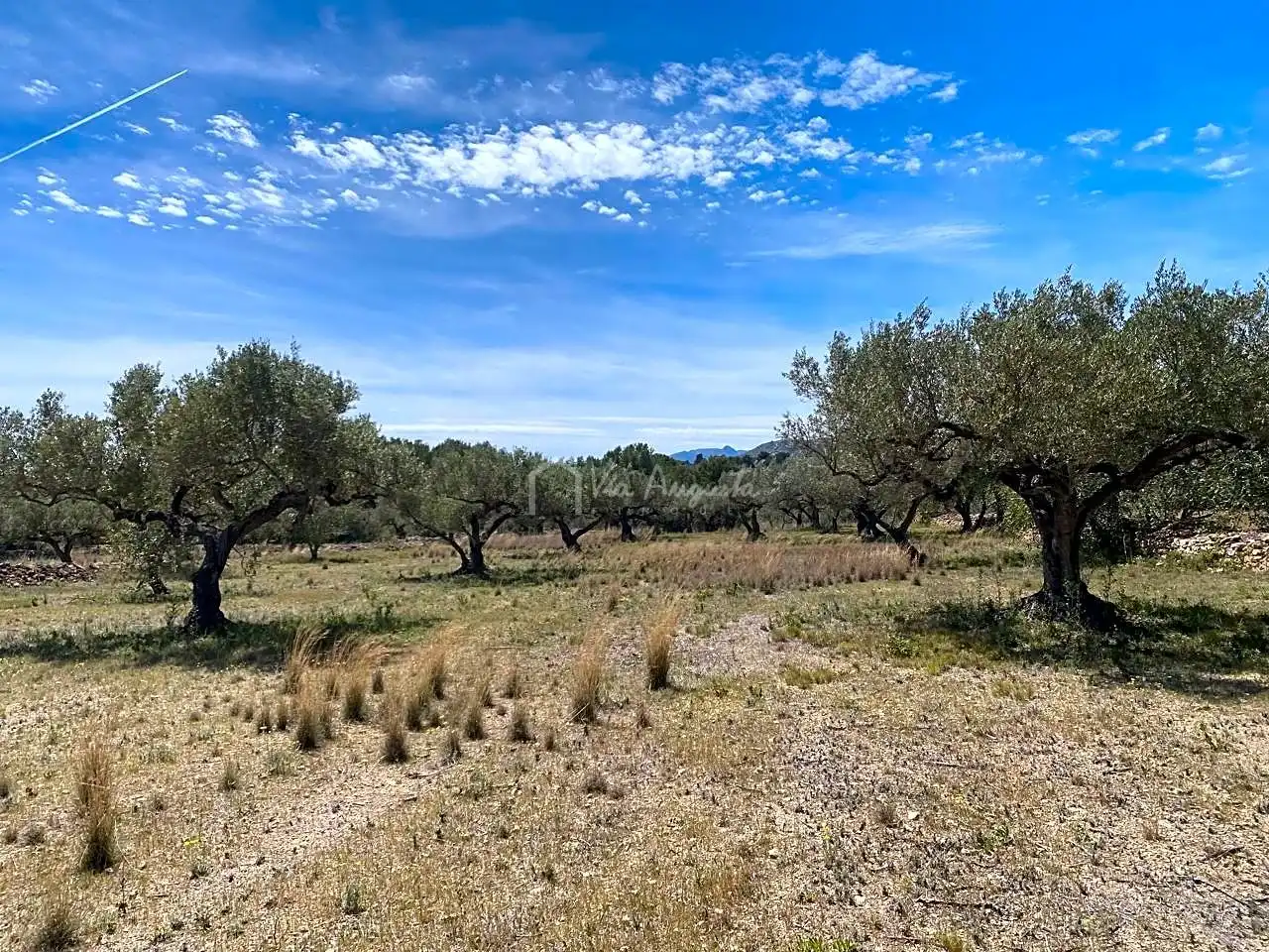 Terreno rustico in vendita a Mas de Baralluga, imagen 2