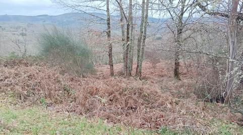 Photo 5 of Country house for sale in Lugar Vilacha, Becerreá, Lugo