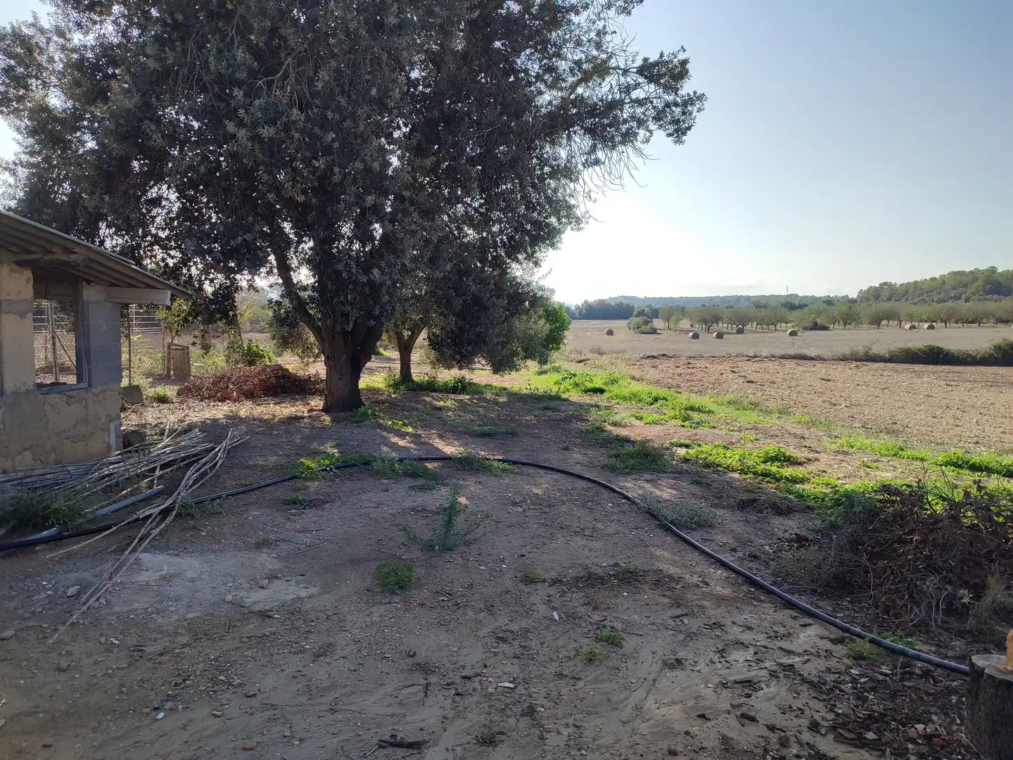Finca rústica en venda a Sant Joan