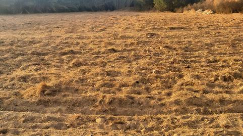 Foto 3 de Terreno en venta en Islantilla Golf, Huelva