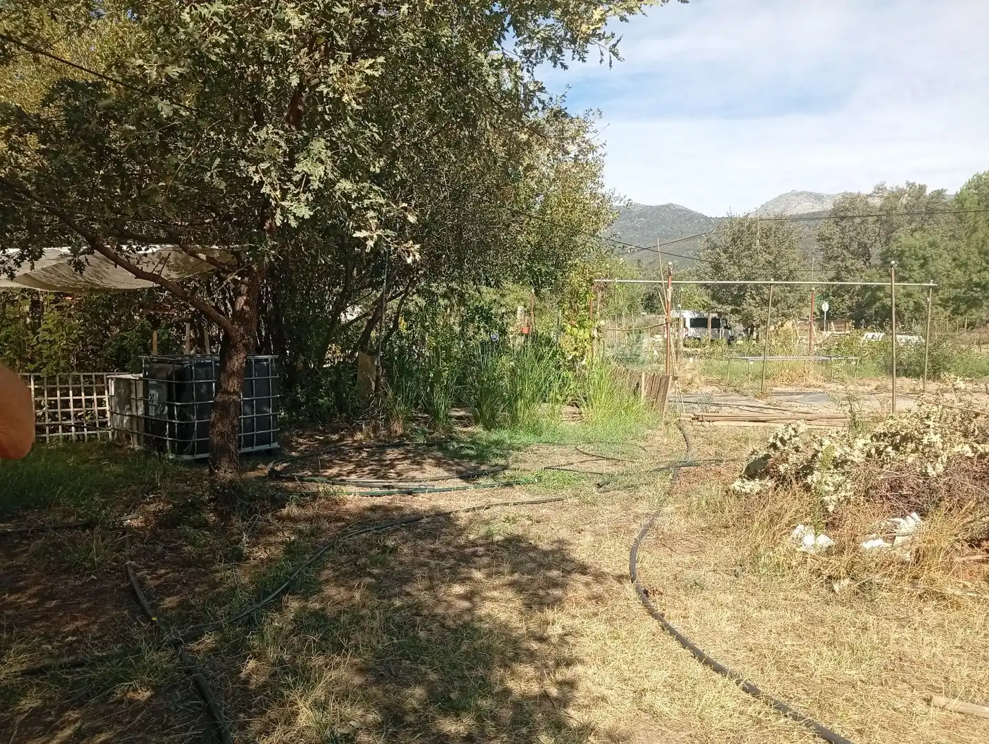 Terrain rustique à vendre à Villanueva de la Vera, imagen 30