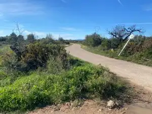 Terreno en venta en El Pont d'Armentera