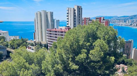 Photo 4 of Residential for sale in  Pekin, Rincón Alto, Alicante