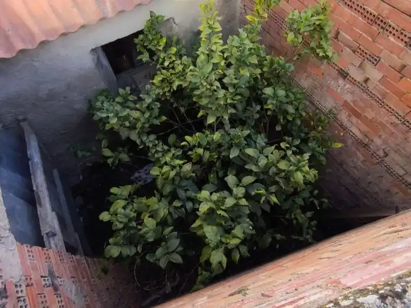 Jardí de Casa adosada en venda en Medrano amb Moblat i Balcó