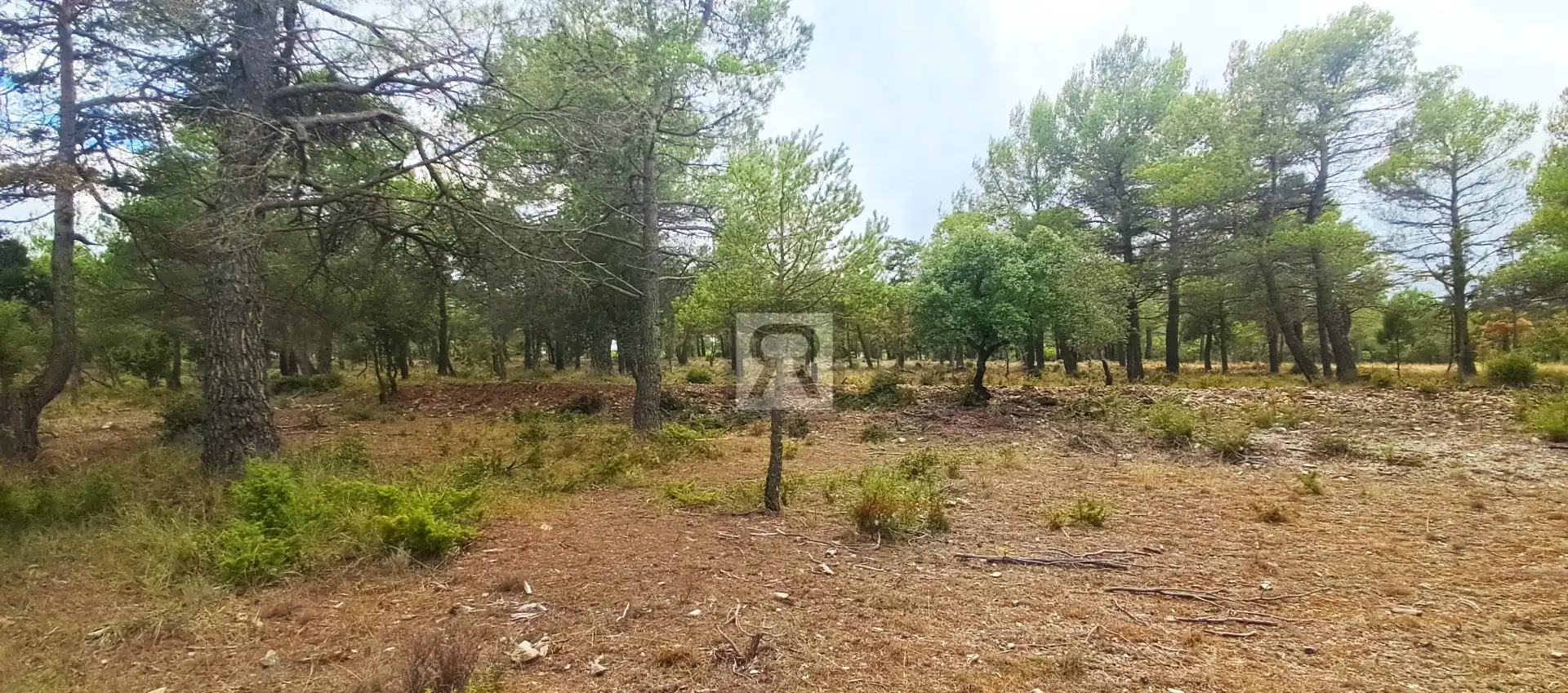 Terrain rustique à vendre à TV-7041 12, imagen 6