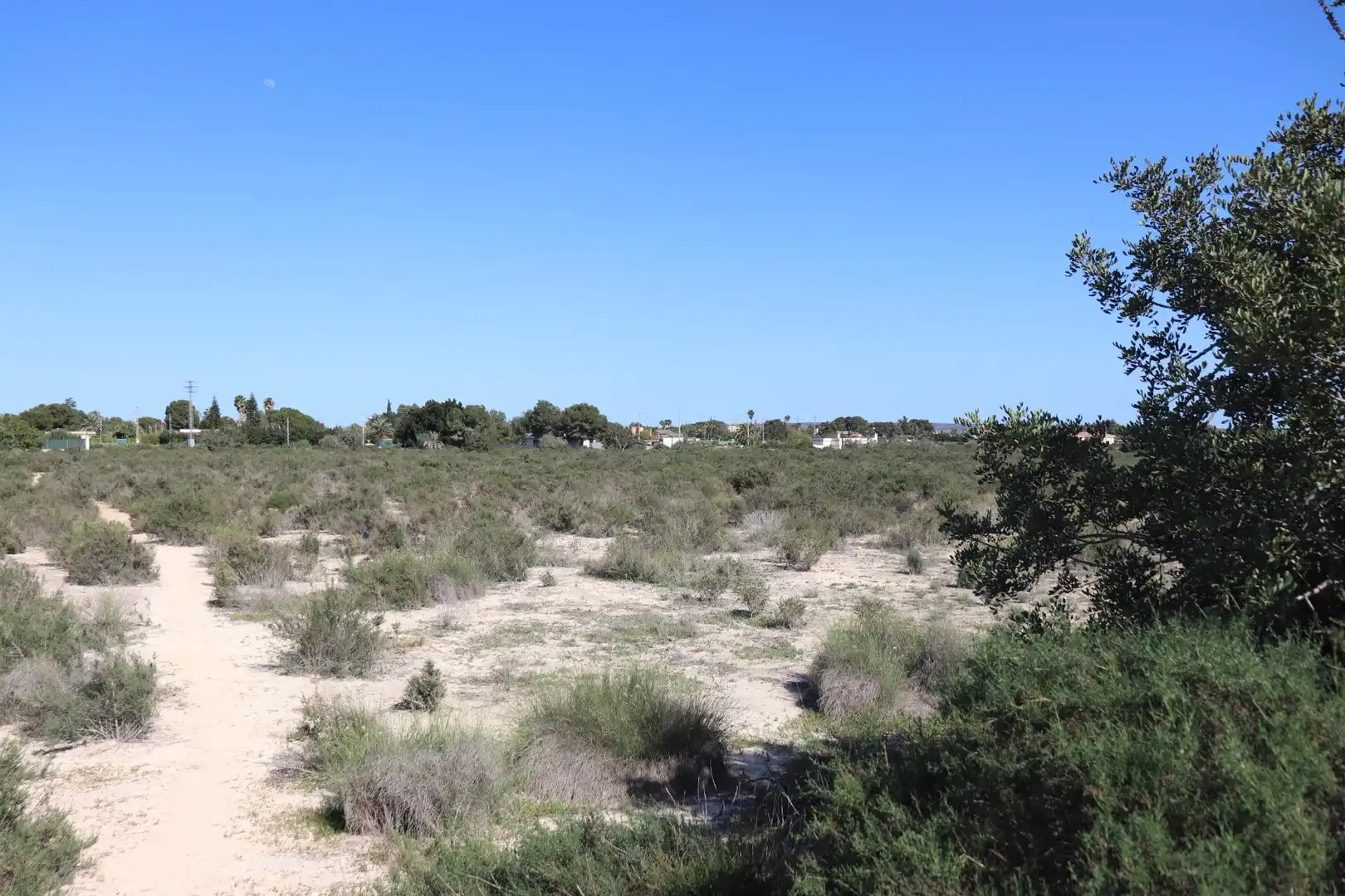 Grundstücke zum Verkauf in Elche / Elx