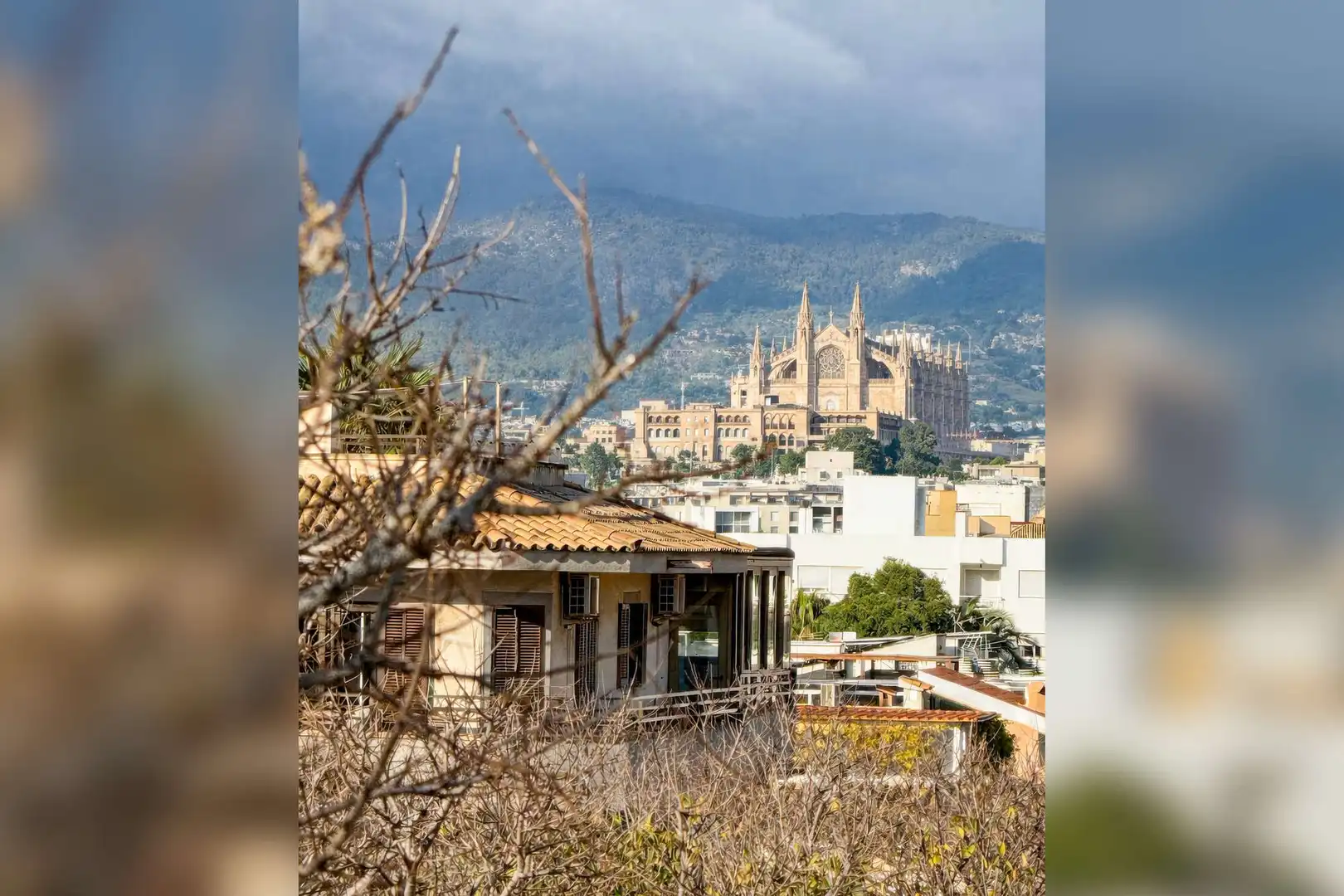 Vista exterior de Àtic en venda en  Palma de Mallorca amb Aire condicionat, Terrassa i Moblat