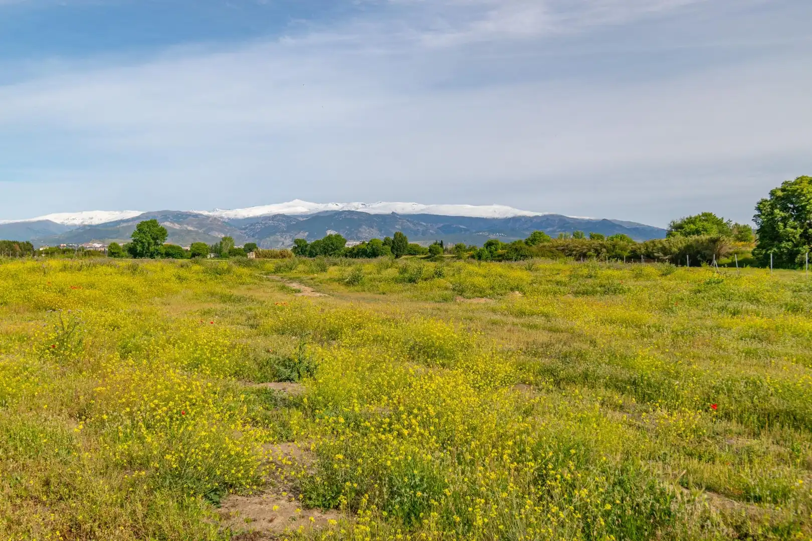 Lands and plots for sale in Polígono 9 Parcela 307 MARACHAT. GRANADA (GRANADA, imagen 32
