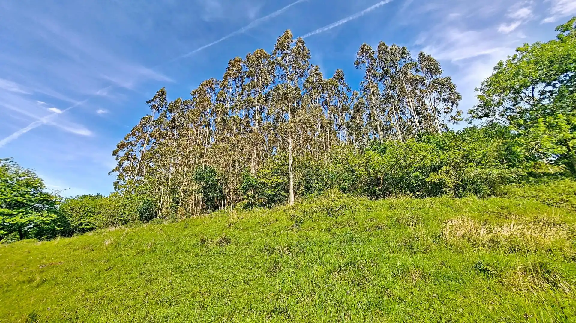 Rural land for sale in Grado, imagen 18