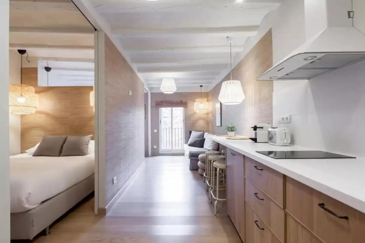 Apartments for rent in Barri Gòtic