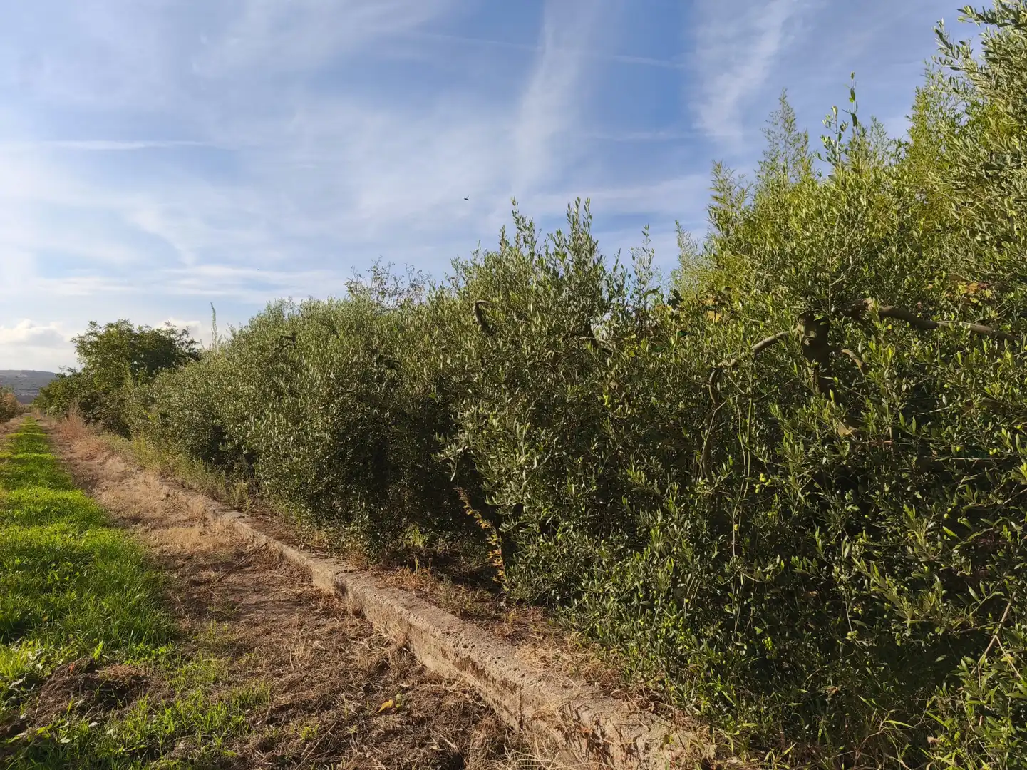 Terreni e lotti in vendita a La Portalada - Varea, imagen 36