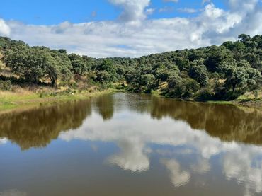 Terrenys i solars en venda a El Álamo