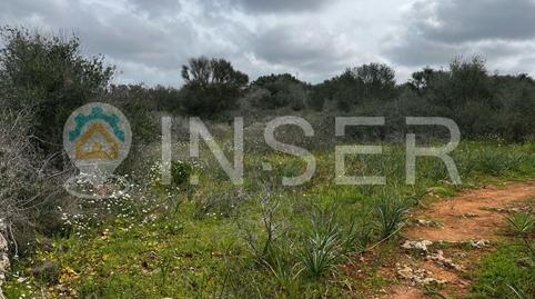 Foto 4 de Casa o chalet en venta en N/a, Zona Rústica - Interior, Campos