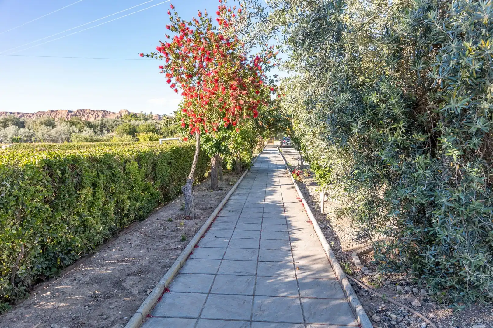 Vista exterior de Casa o xalet en venda en Guadix amb Aire condicionat, Calefacció i Jardí privat