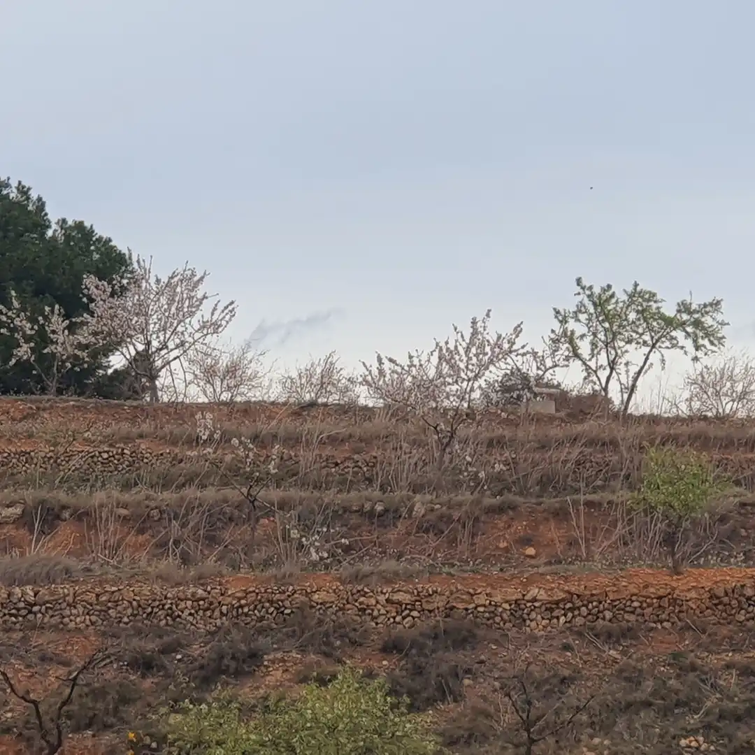 Rustikales Grundstück zum Verkauf in El Pinell de Brai, imagen 21