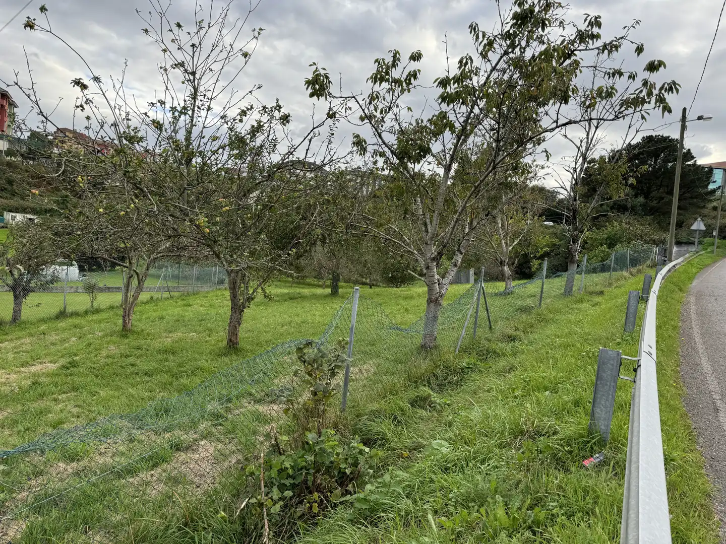 Lands and plots for sale in Lugar de La Florida 20, imagen 12