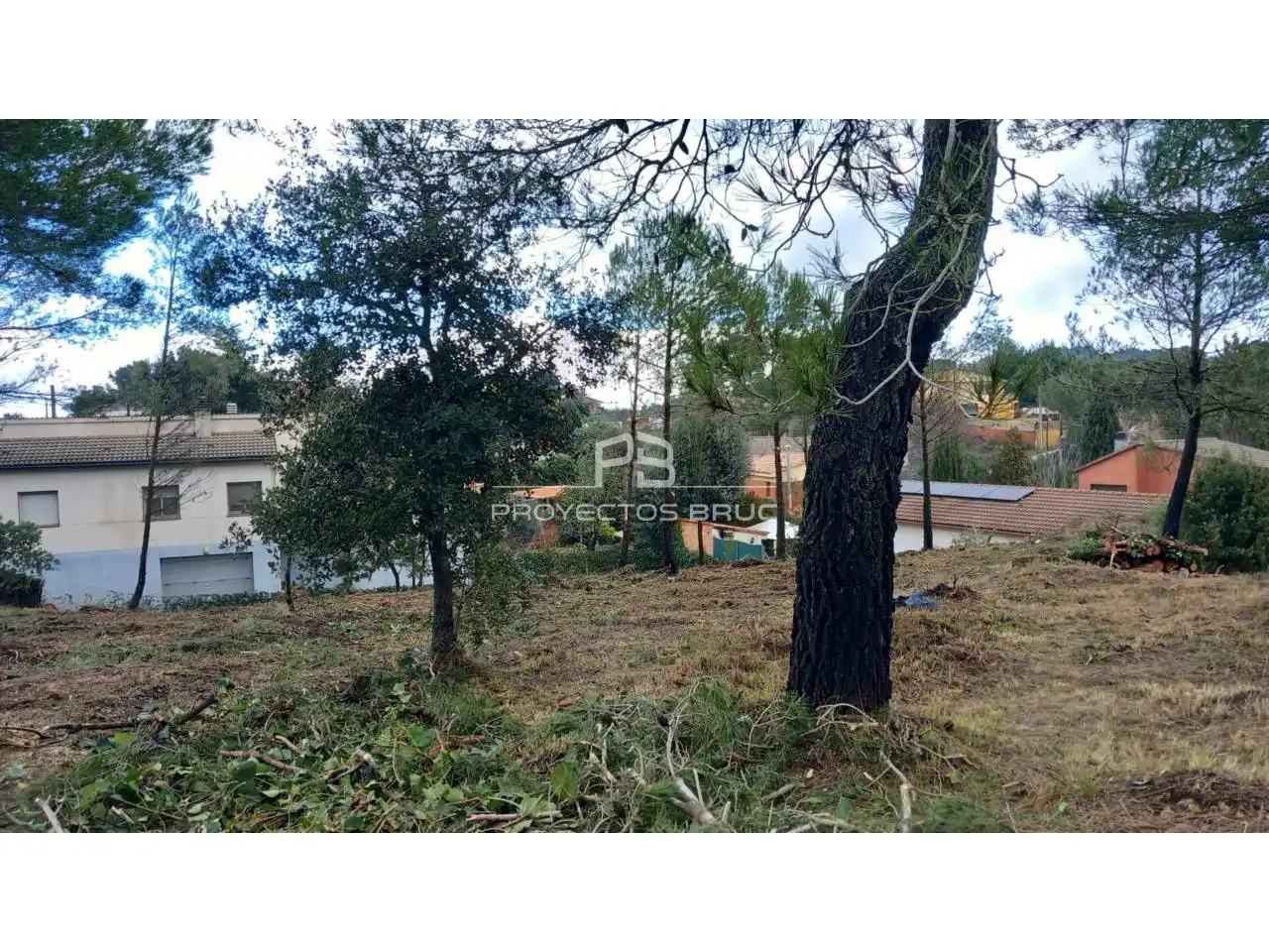 Rural land for sale in Calle Verge de Montserrat, imagen 4